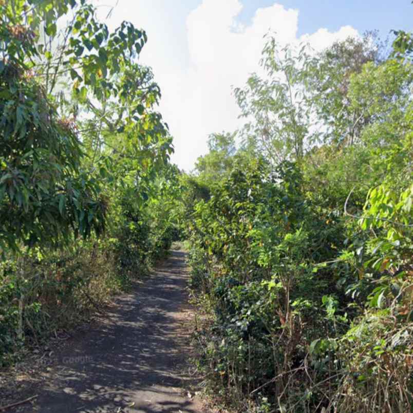 dijual tanah blimbing sari