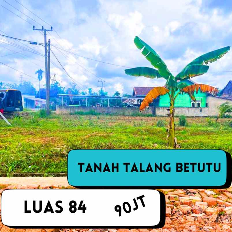 dijual tanah cepat talang betutu harga 90 juta