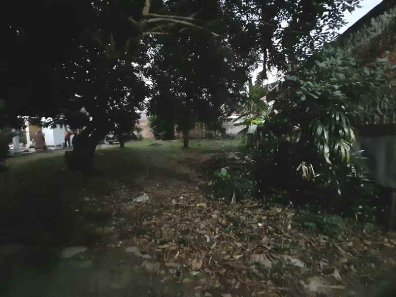 dijual tanah cilobak pangkalan jati baru