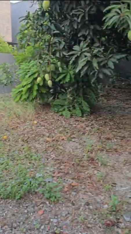 dijual tanah cluster sukabakti hijau