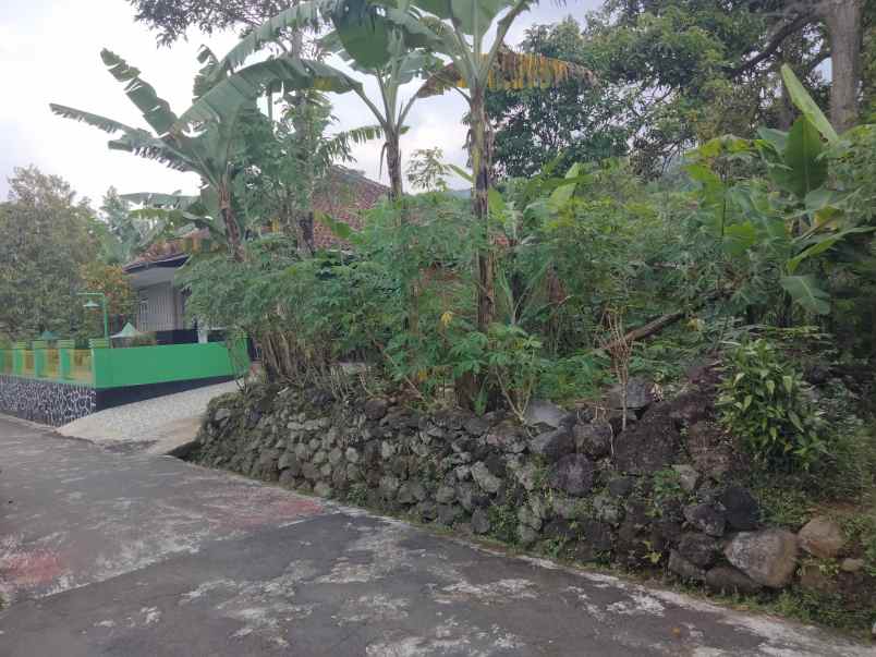 dijual tanah cstrtaegis pinggir jalan desa