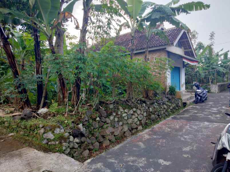 dijual tanah cstrtaegis pinggir jalan desa