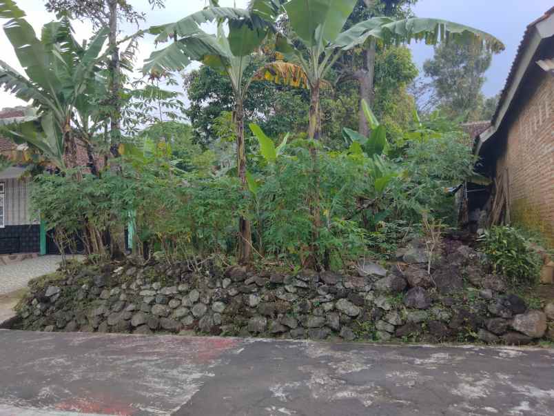 dijual tanah cstrtaegis pinggir jalan desa