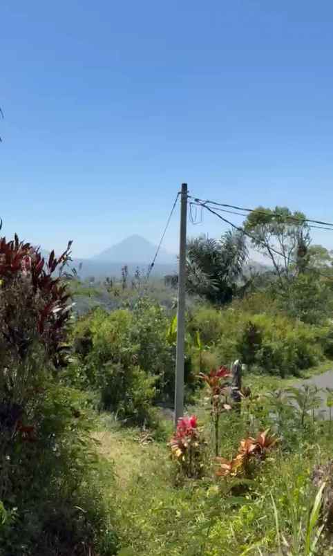 dijual tanah desa antapan kec baturiti