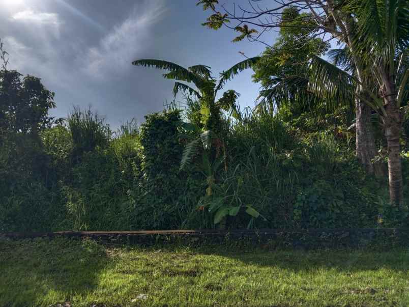 dijual tanah desa batuaji kec