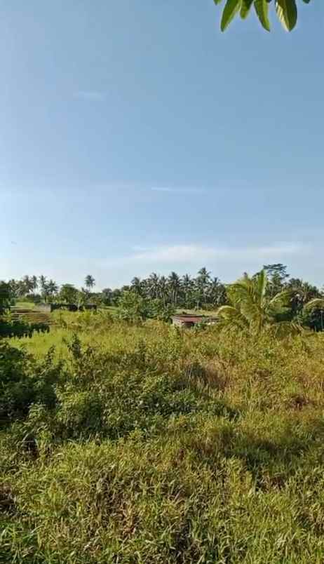 dijual tanah desa batuaji kec