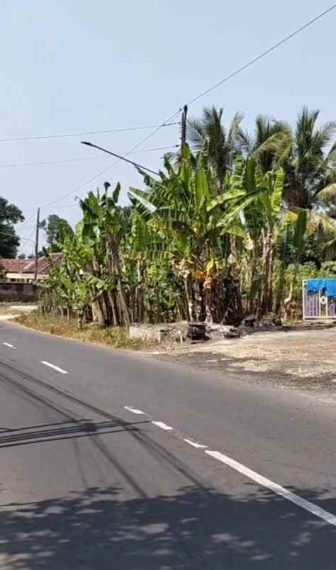 dijual tanah desa pasuruhan mertoyudan magelang