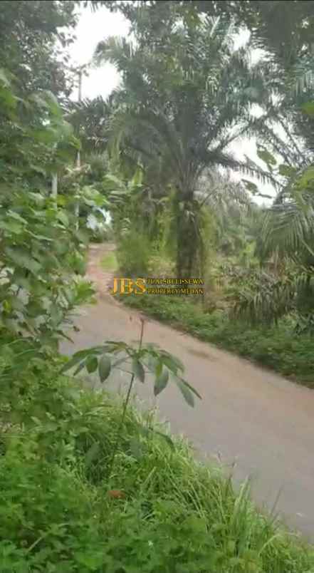dijual tanah desa tarean kec silinda