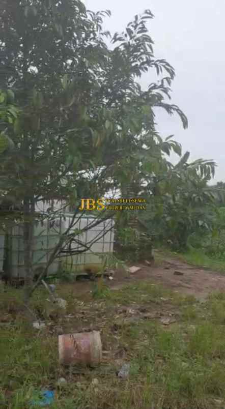 dijual tanah desa tarean kec silinda