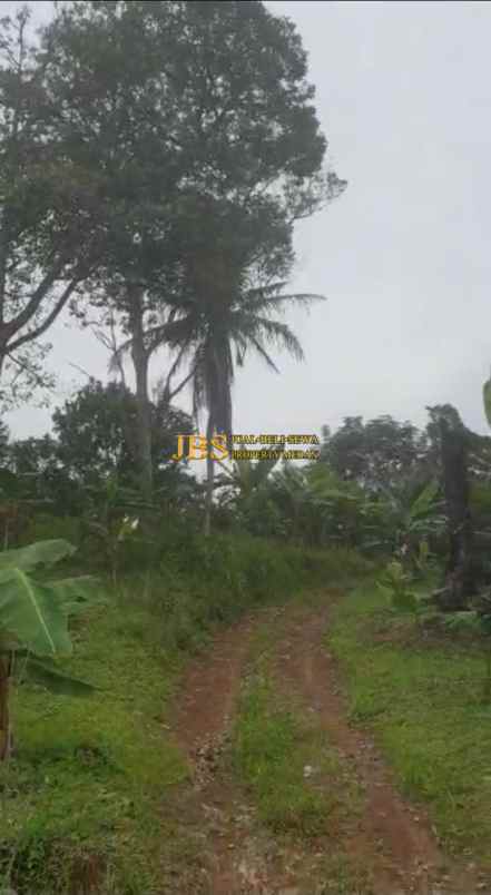 dijual tanah desa tarean kec silinda