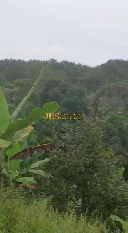 dijual tanah desa tarean kec silinda