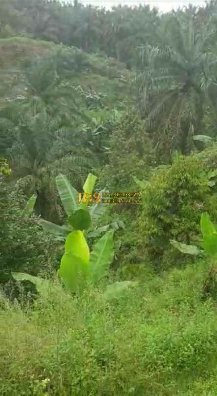 dijual tanah desa tarean kec silinda