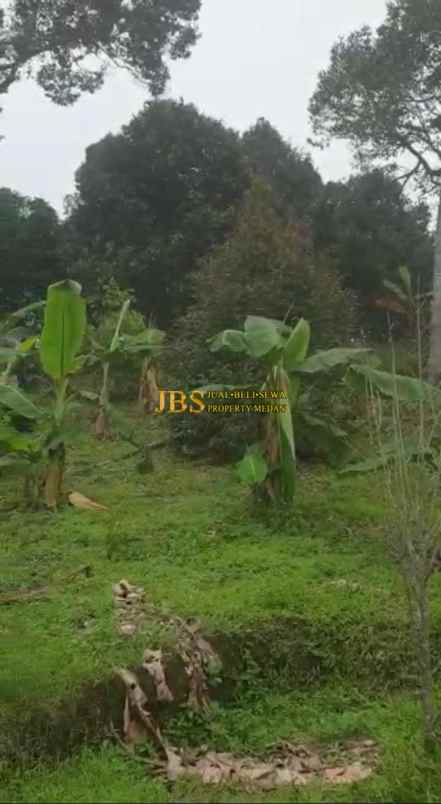 dijual tanah desa tarean kec silinda