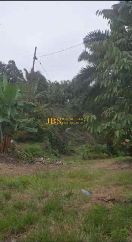 dijual tanah desa tarean kec silinda