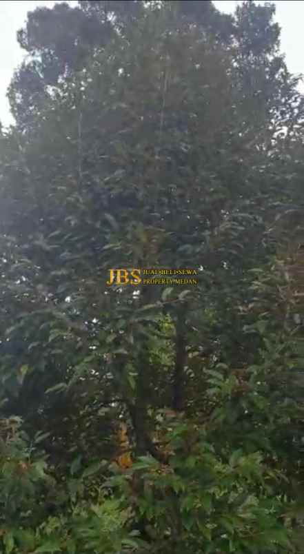 dijual tanah desa tarean kec silinda
