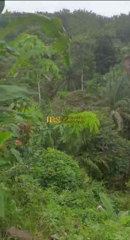 dijual tanah desa tarean kec silinda