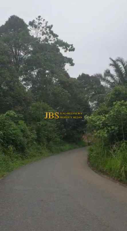 dijual tanah desa tarean kec silinda