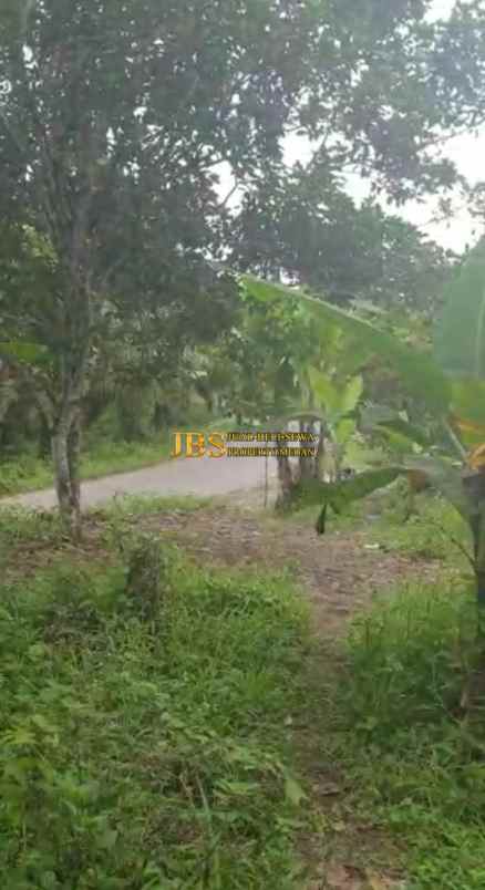 dijual tanah desa tarean kec silinda