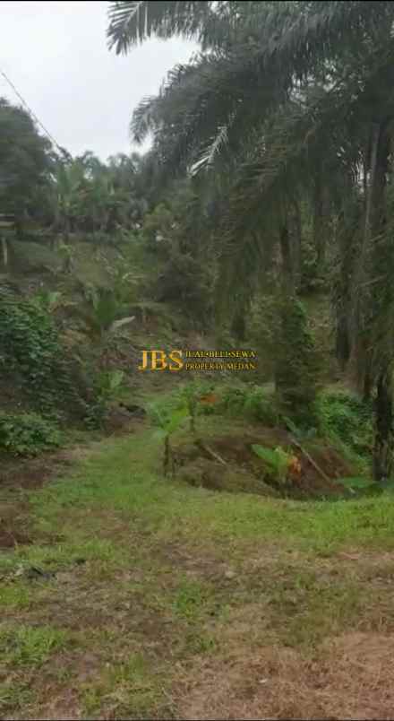 dijual tanah desa tarean kec silinda