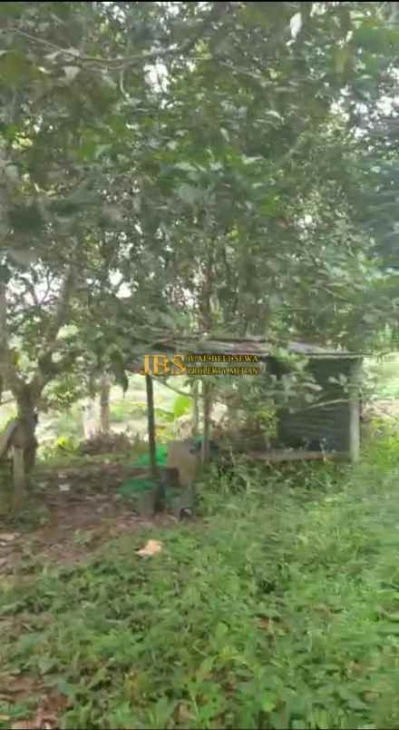 dijual tanah desa tarean kec silinda