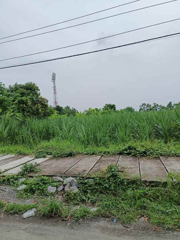 dijual tanah dijual tanah cepat 8 surat