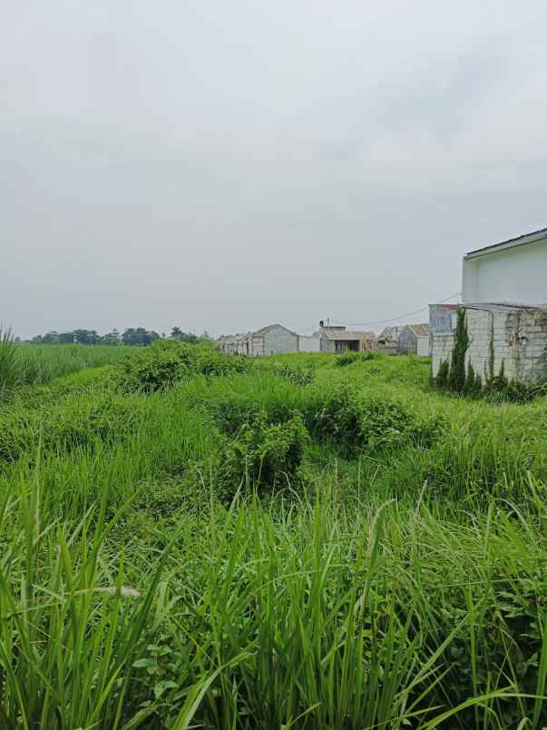 dijual tanah dijual tanah cepat 8 surat