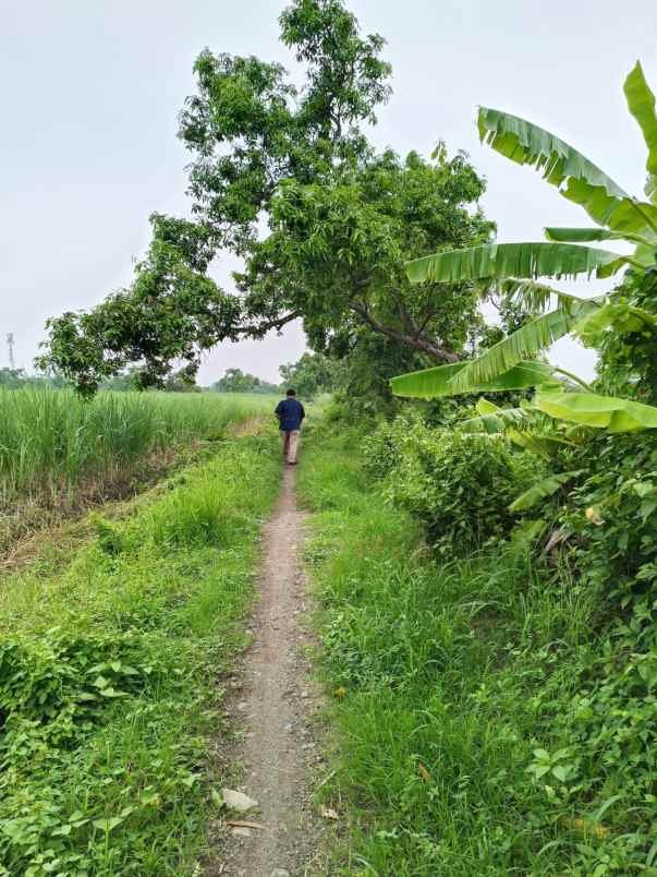 dijual tanah dijual tanah cepat 8 surat