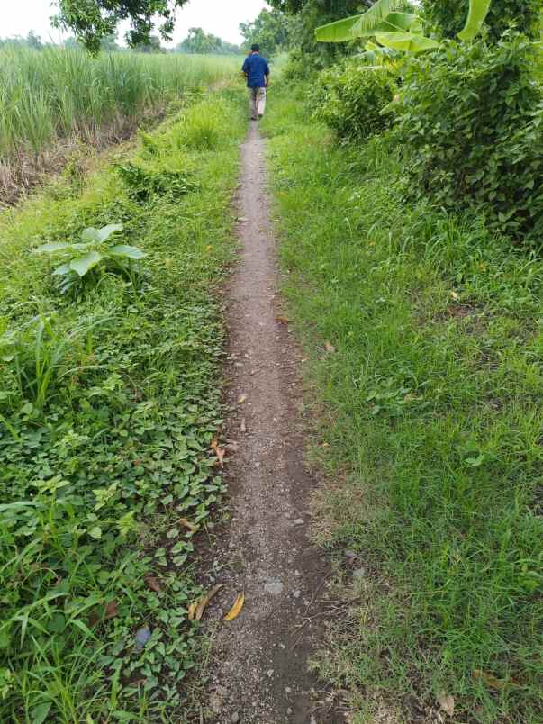 dijual tanah dijual tanah cepat 8 surat