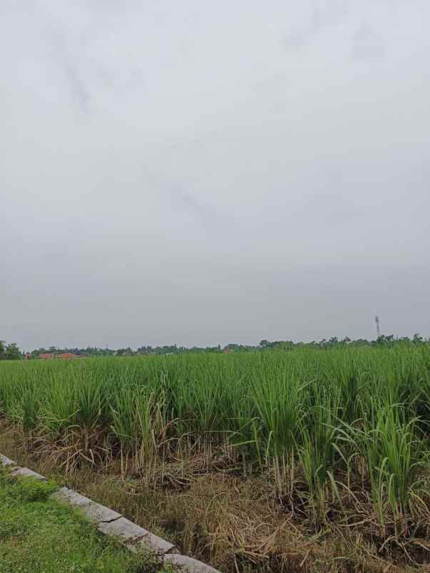 dijual tanah dijual tanah cepat 8 surat