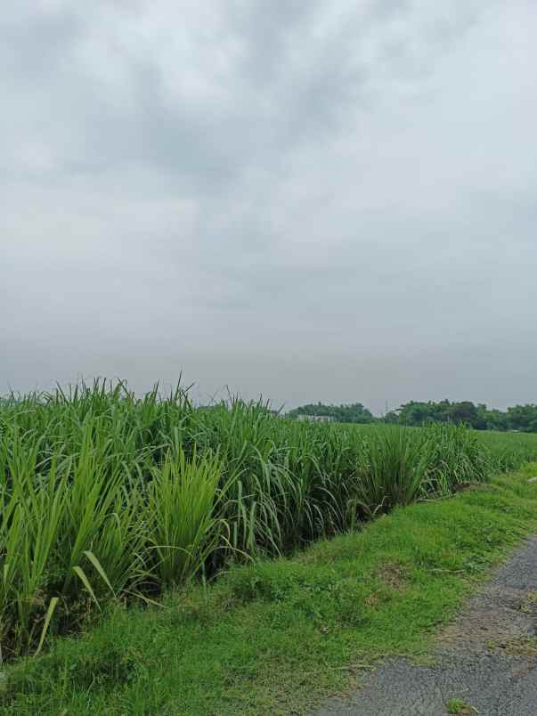 dijual tanah dijual tanah cepat 8 surat