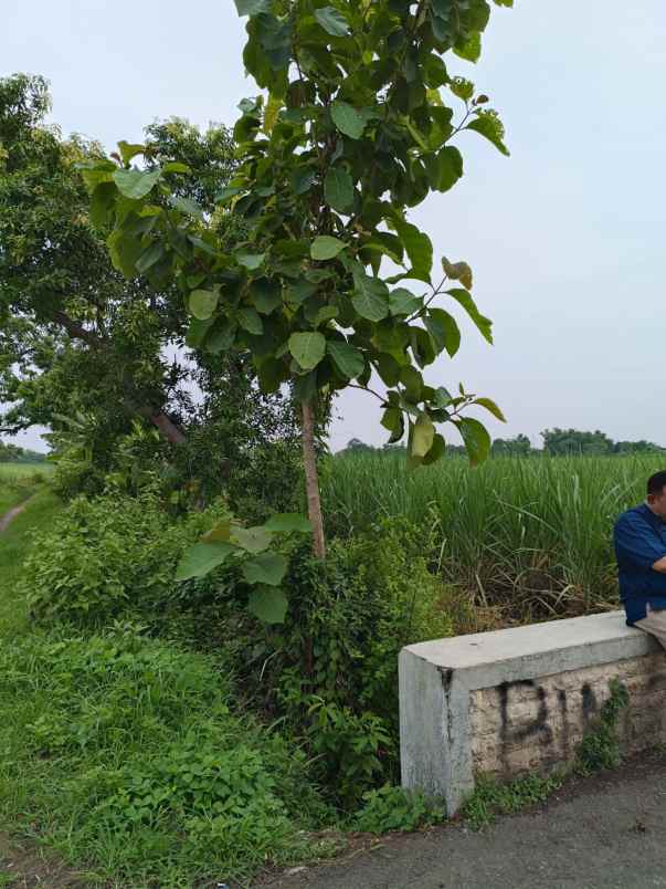 dijual tanah dijual tanah cepat 8 surat