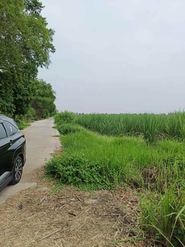 dijual tanah dijual tanah cepat 8 surat