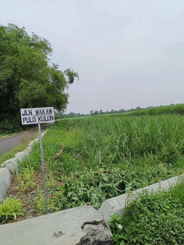 dijual tanah dijual tanah cepat 8 surat