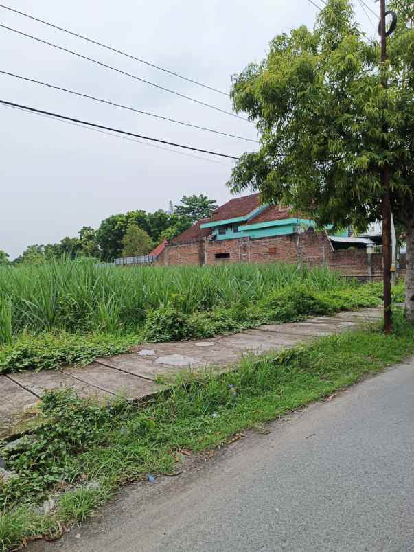 dijual tanah dijual tanah cepat 8 surat