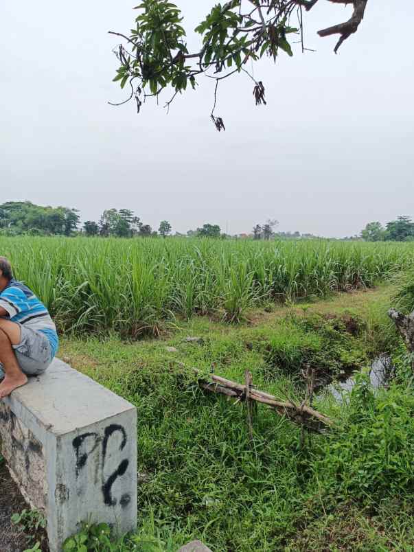 dijual tanah dijual tanah cepat 8 surat