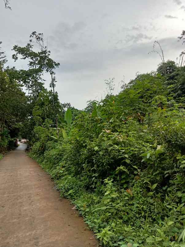 dijual tanah dijual tanah di desa galih