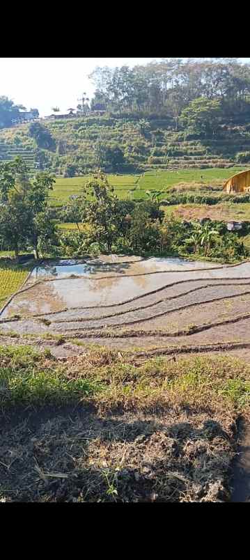 dijual tanah dijual tanah di dusun