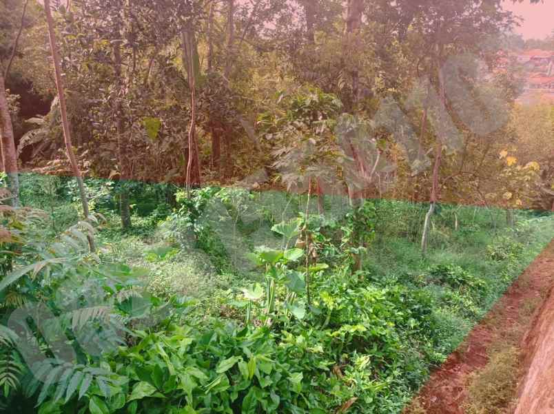 dijual tanah dusun cibogo 3