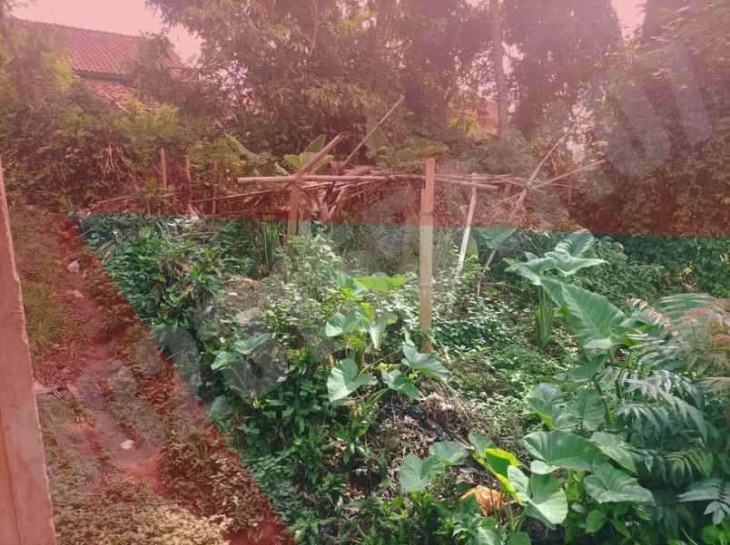 dijual tanah dusun cibogo 3