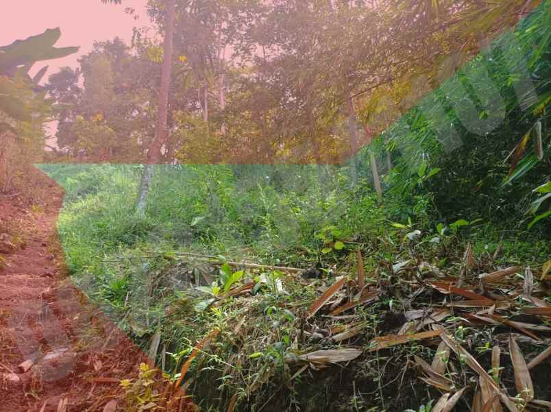 dijual tanah dusun cibogo 3