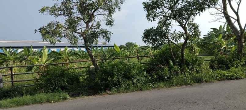 dijual tanah industri di nol jalan lengkong nganjuk