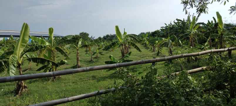 dijual tanah industri di nol jalan lengkong nganjuk