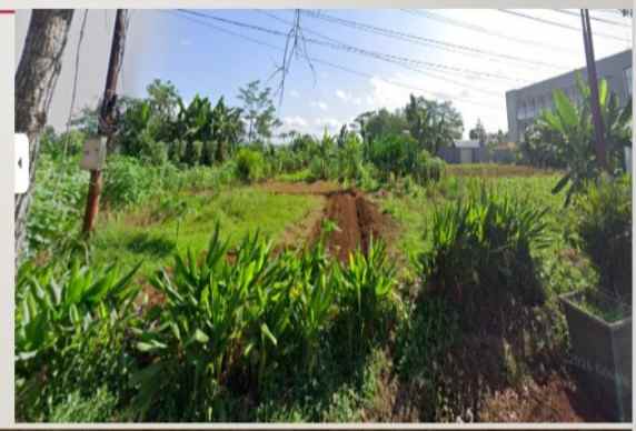 dijual tanah jalan soepardjo roestam