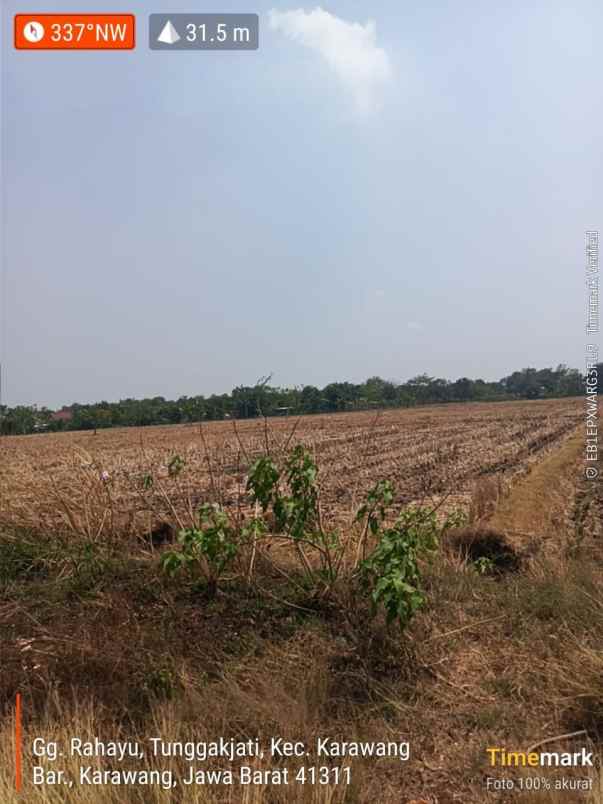 dijual tanah jalan tanjungpura batujaya