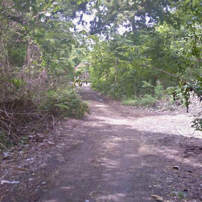 dijual tanah jimbaran uluwatu