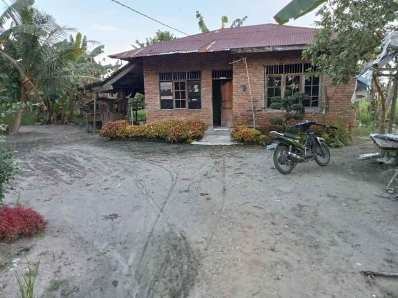dijual tanah jl anugrah batang kuis