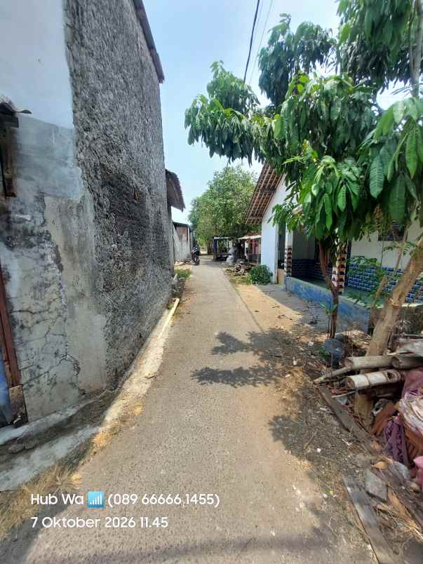 dijual tanah jl kp belakang kamal kalideres