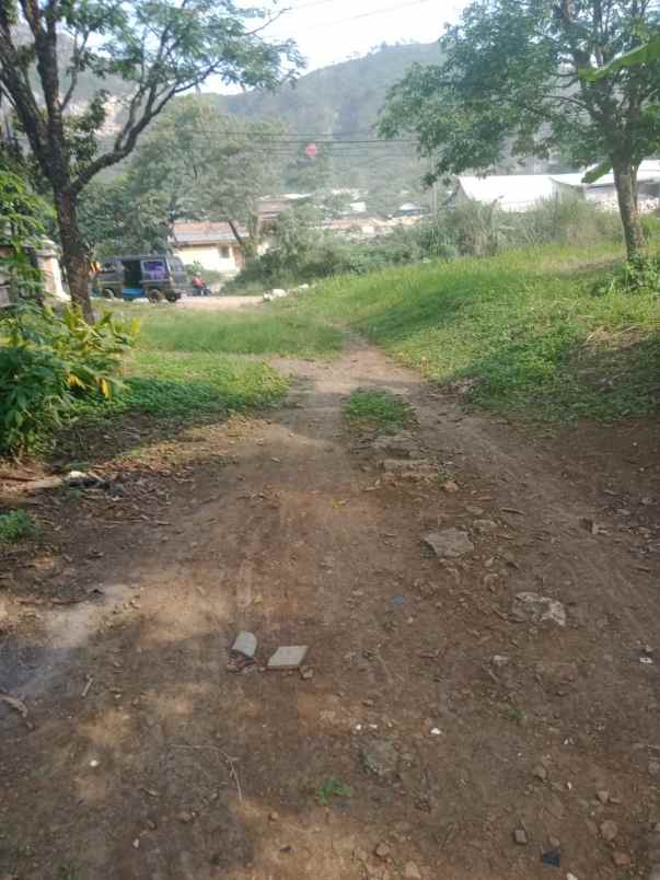 dijual tanah jl nasional iii pamucatan