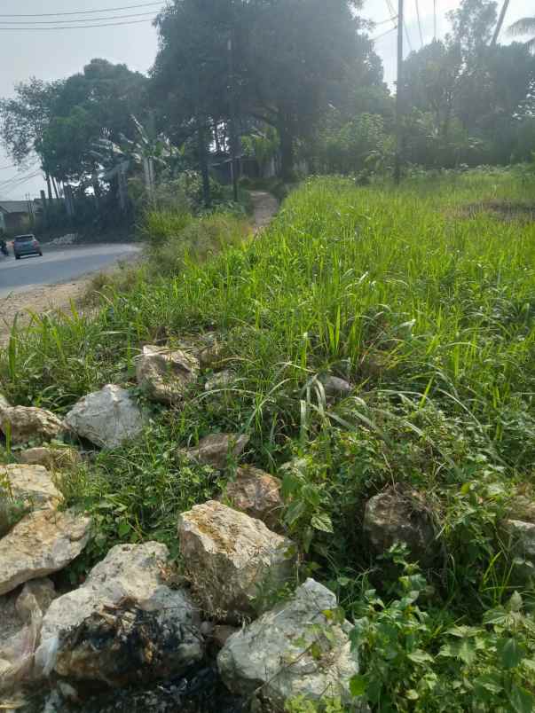 dijual tanah jl nasional iii pamucatan