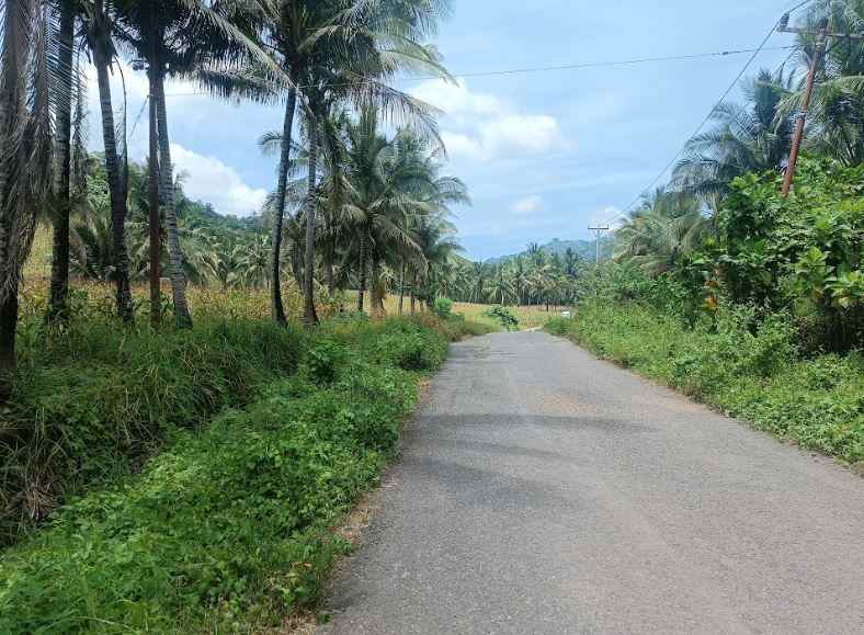 dijual tanah jl raya pindol desa